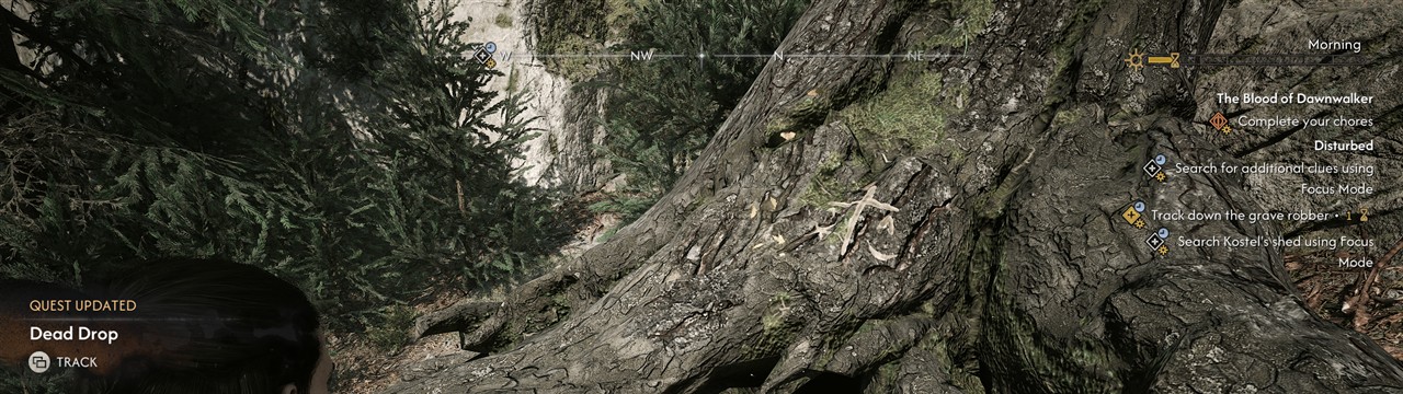 The white Dead Drop carving on a fallen trunk above the hidden stash